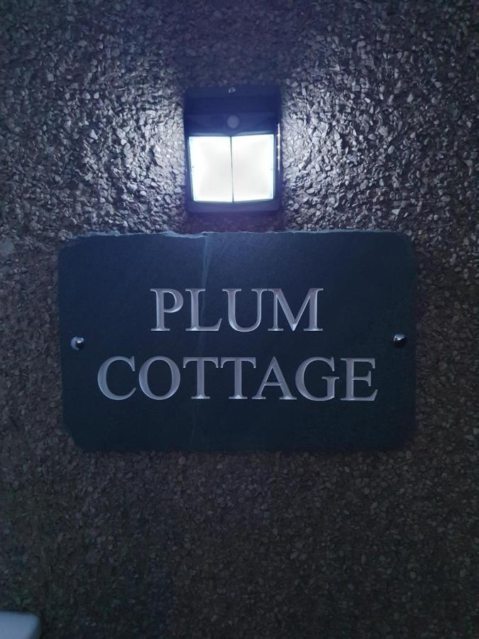 Plum Apartamento